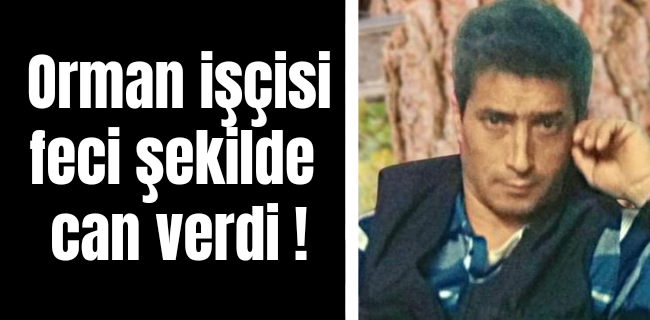 Ormanda acı ölüm !