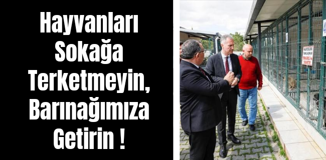 Hayvanları Sokağa Terketmeyin, Barınağımıza Getirin