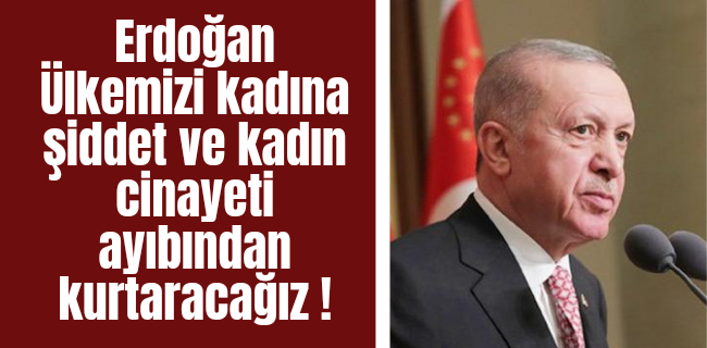 Ülkemizi kadına şiddet ve kadın cinayeti ayınından kurtaracağız