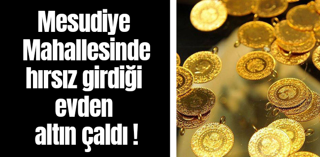 Eve giren hırsız 30 adet gram altın çaldı !