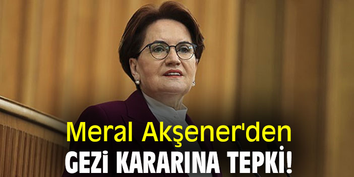 Meral Akşener ; Gezi milli şuurun ayağa kalkmasıdır !
