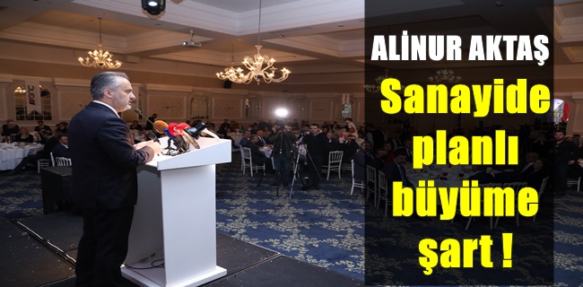 Sanayide planlı büyüme şart !