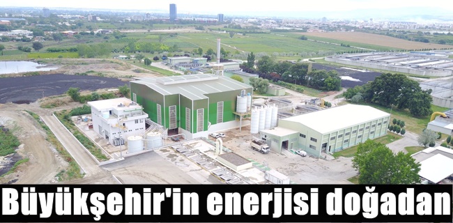 Büyükşehir