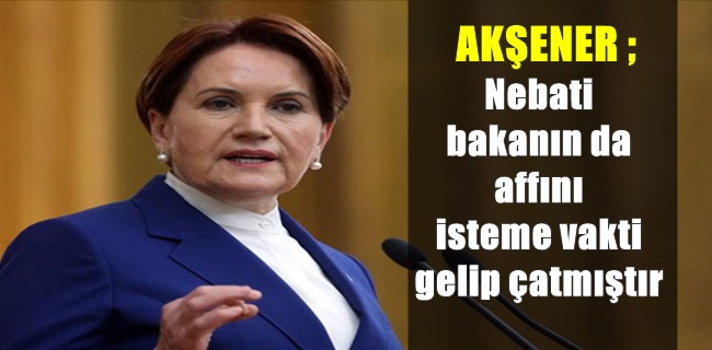 Meral Akşener