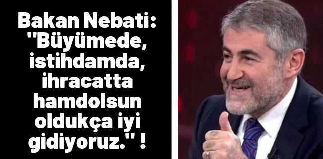 Bakan Nebati: 
