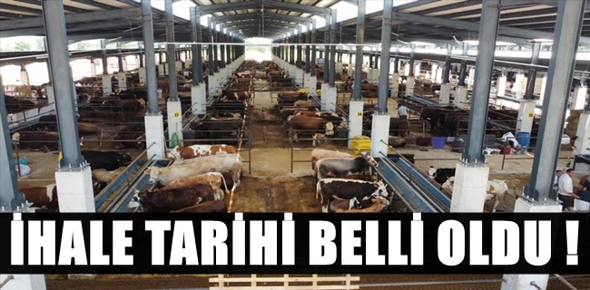 İnegöl Hayvan Pazarı Kotra İhale Tarihi Belli Oldu !