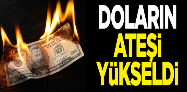 Dolar