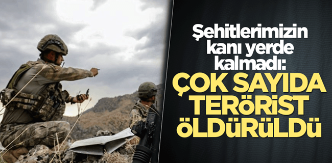 Şehitlerimizin kanı yerde kalmadı !