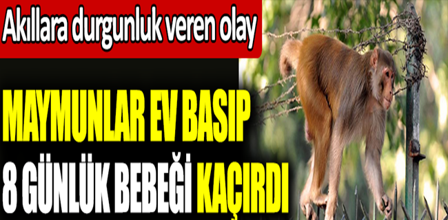 Ve buda oldu !