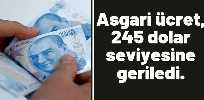 Asgari ücret, 245 dolar seviyesine geriledi.