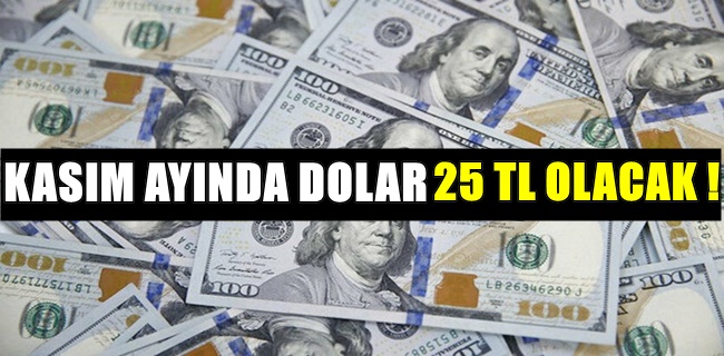 Kasım ayında dolar 25 lira olacak !