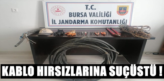 Jandarma kıskıvrak yakaladı !