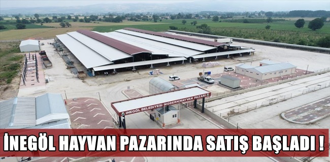 Hayvan Pazarında Kurbanlıklar Satışa Çıktı !