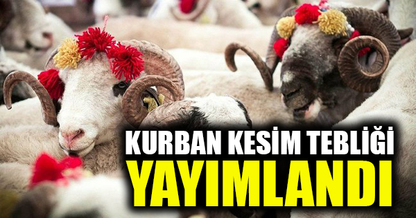 Diyanetin 2022 Kurban kesim tebliği resmi gazetede yayınladı !