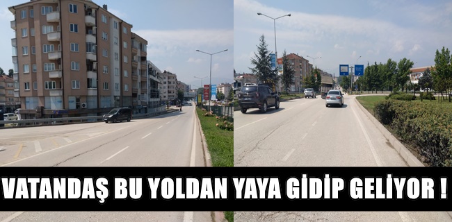 Alanyurt