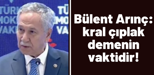 Bülent Arınç: Majestelerinin gazetecileri var, kral çıplak demenin vaktidir !
