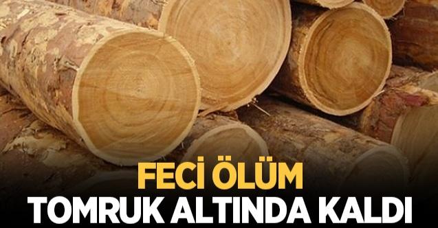 Tomruk altında kaldı feci şekilde can verdi !
