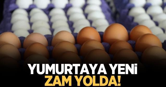 Yumurtaya zam yolda!
