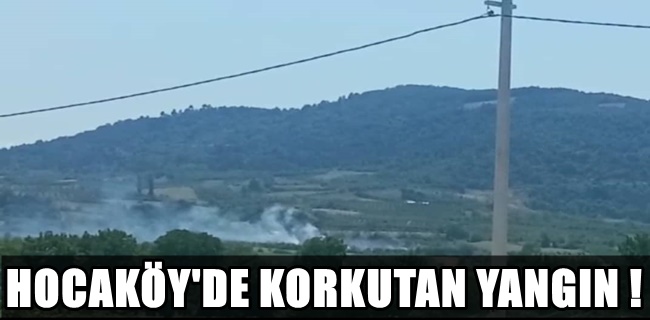 Hocaköy kırsalında korkutan yangın !