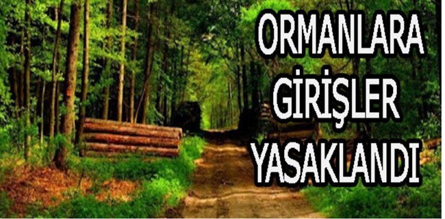 Ormanlara Girişler Yasaklandı !