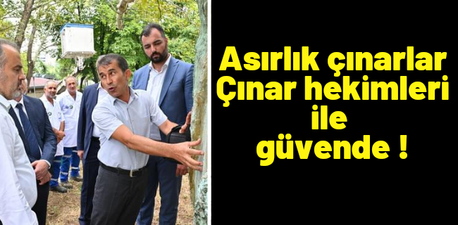 Asırlık çınarlar, ‘Çınar hekimleri’ ile güvende