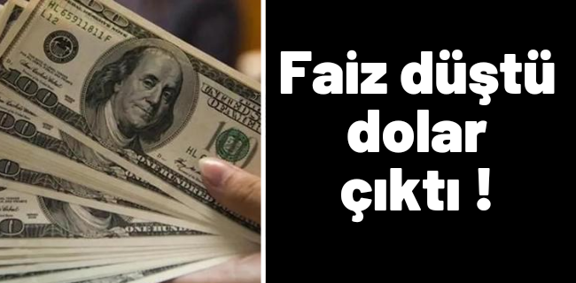 Faiz düştü dolar çıktı