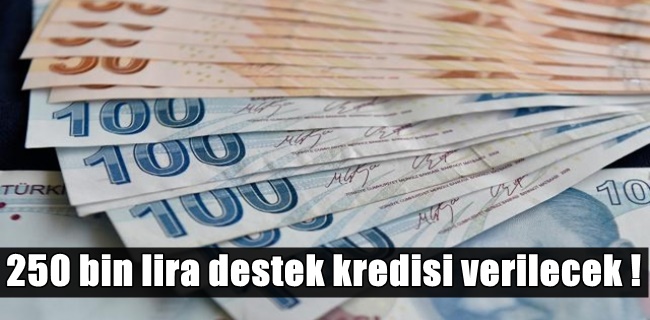 Kosgeb ve Kültür Bakanlığı destekli 250 bin lira destek kredisi verilecek !