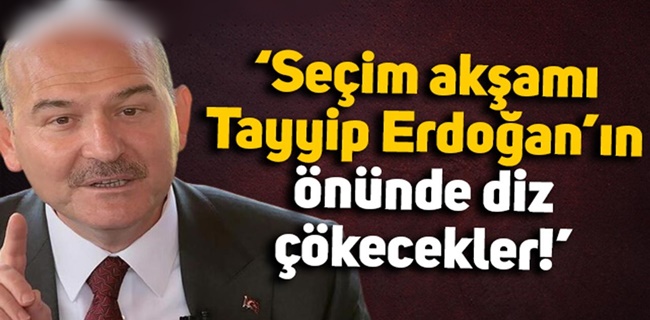 Soylu; 