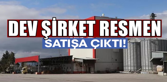 Dev şirket satışa çıkarıldı !