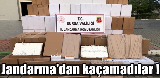 Jandarma