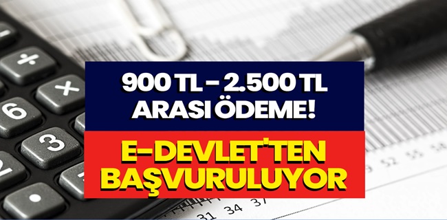 Bakanlık duyurdu: E-devlet