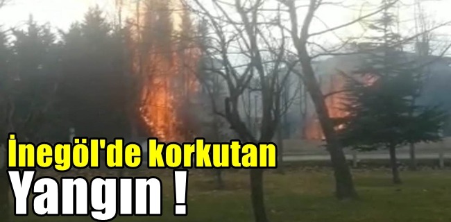 İnegöl