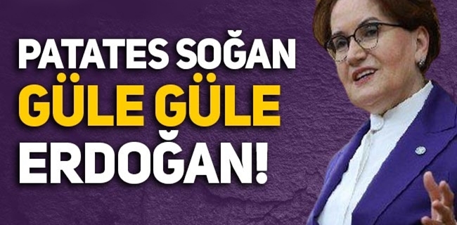 Akşener’den Erdoğan