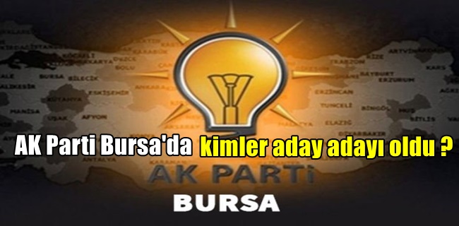 AK Parti Bursa