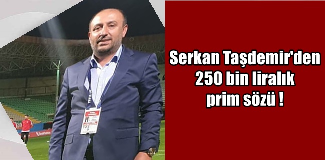 Serkan Taşdemir