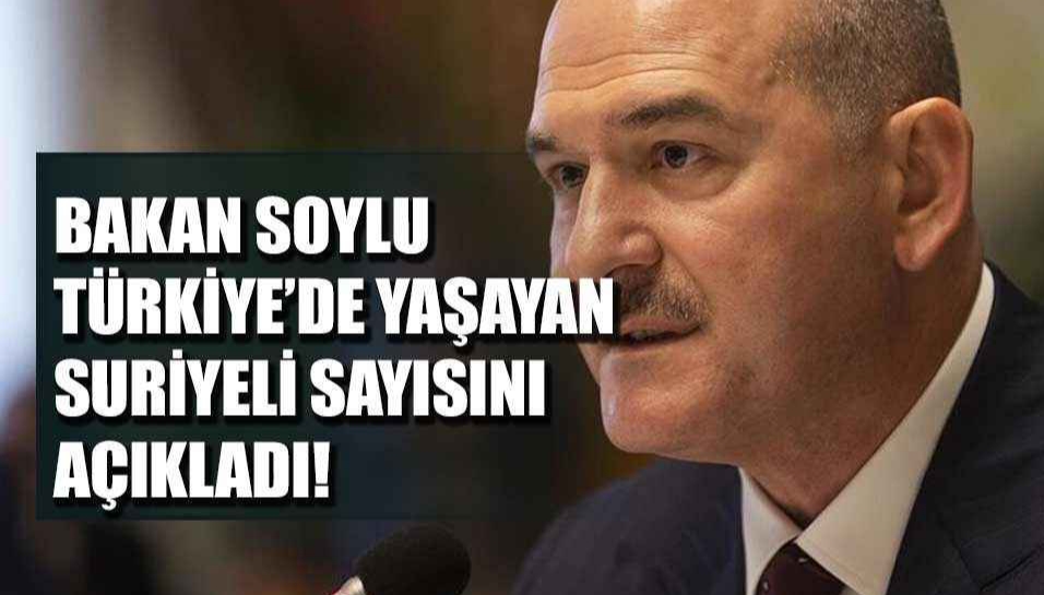 Soylu Türkiye