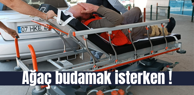 Ağaç budamak isterken elini kesti !