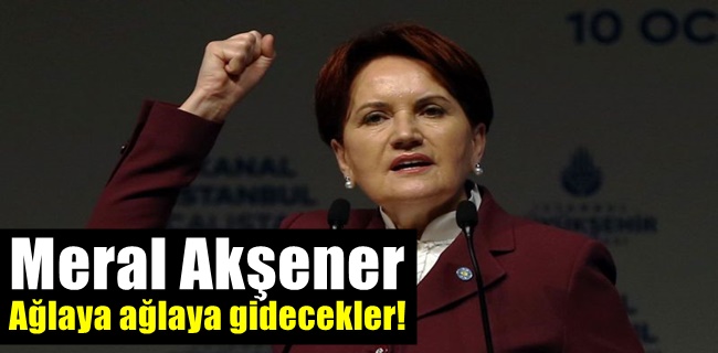 Meral Akşener 