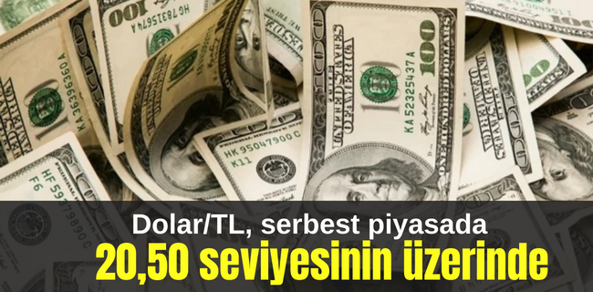 Dolar/TL, serbest piyasada 20,50 seviyesinin üzerinde