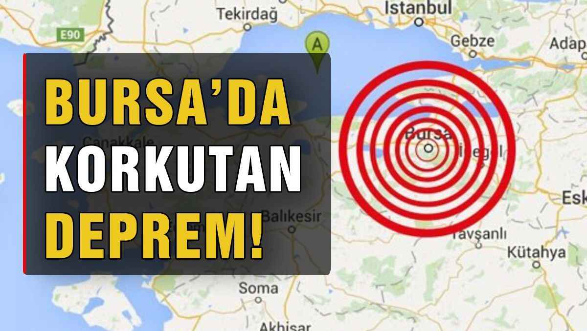 Bursa