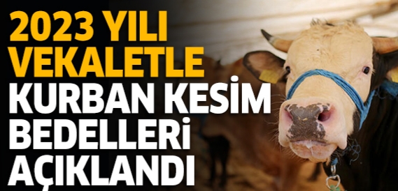 2023 yılı kurban kesim bedelleri açıklandı