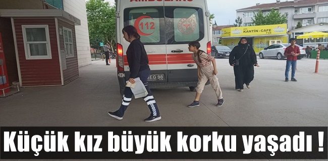 Köpek saldırısına uğrayan küçük kız hastanelik oldu !