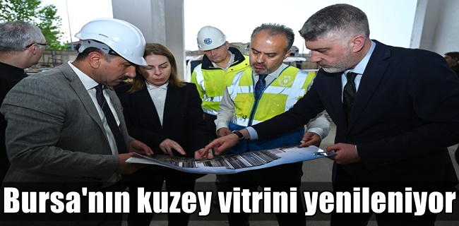 Bursa