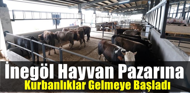 İnegöl Hayvan Pazarına Kurbanlıklar Gelmeye Başladı