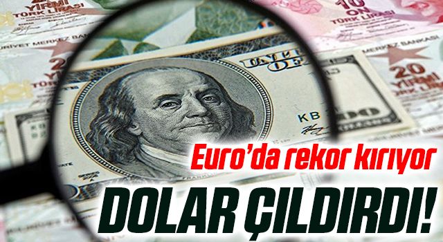 Dolar 20 lirayı geçti !