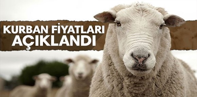 Kurban fiyatları ne kadar ?
