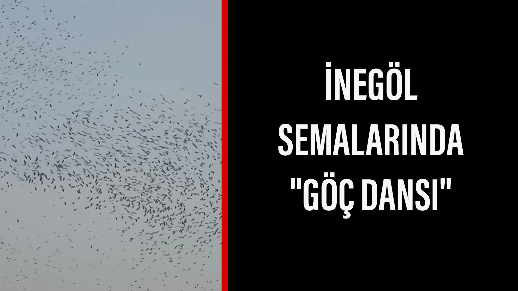 İnegöl