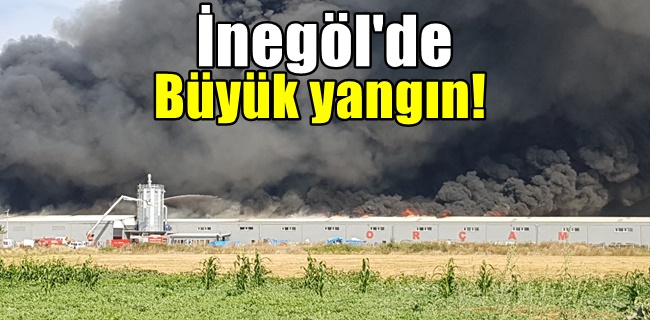 Orçam