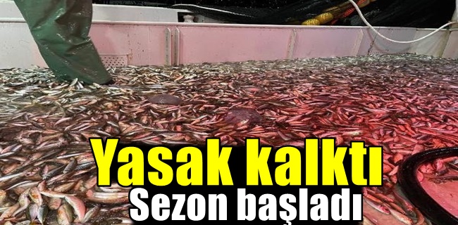 Yasak kalktı sezon başladı !