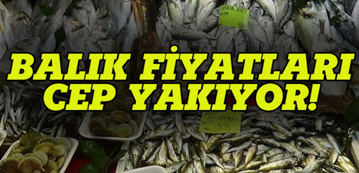 Hamsi bol ama cep yakıyor !
